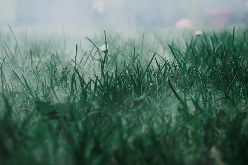 Misting
